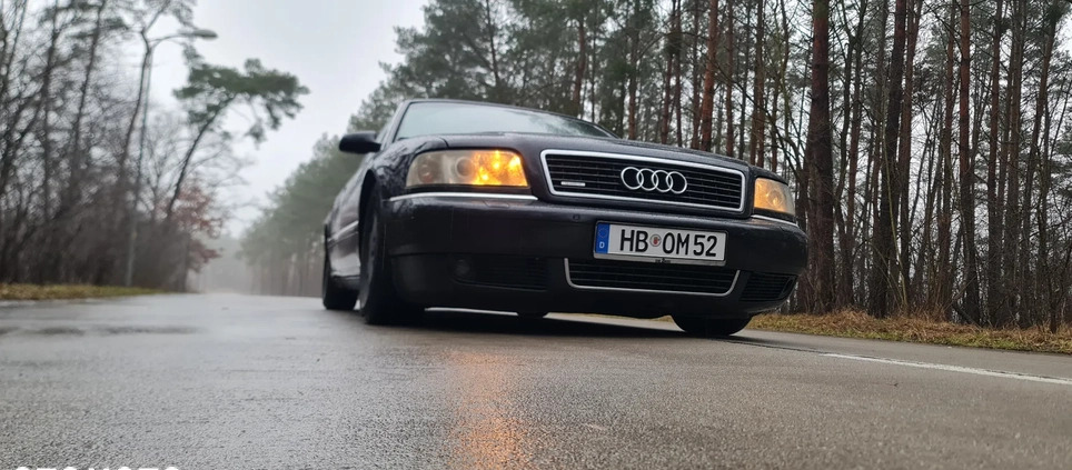 Audi A8 cena 18000 przebieg: 223000, rok produkcji 2000 z Konstantynów Łódzki małe 704